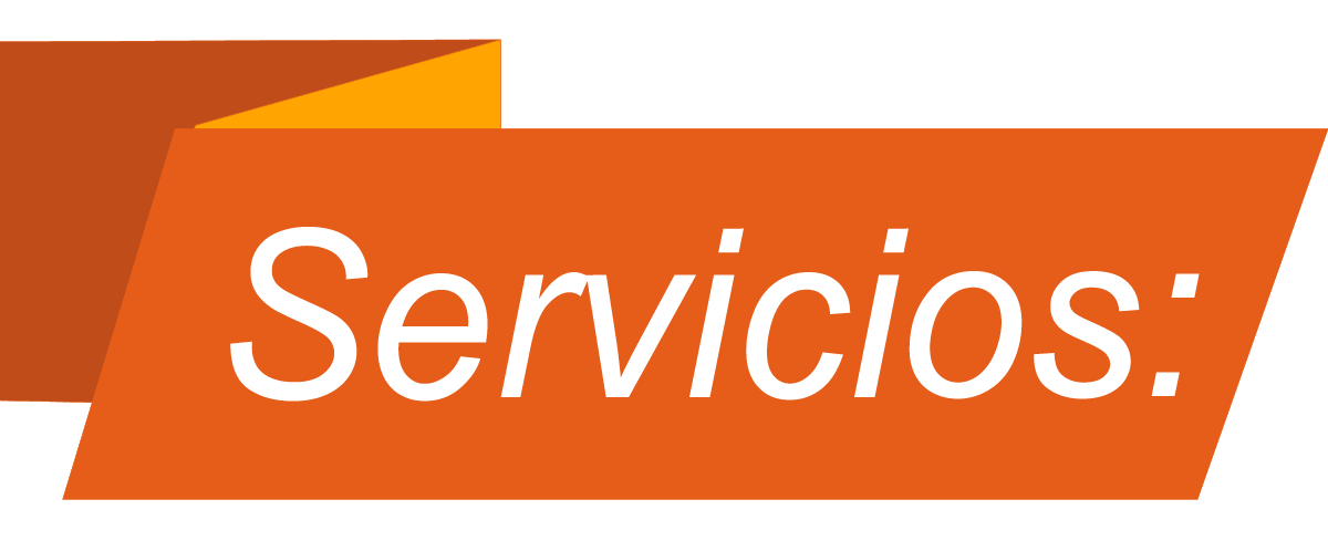 servicios